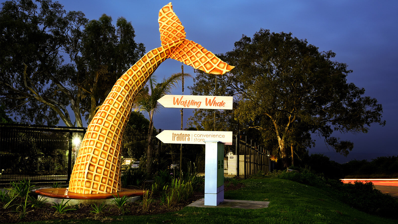A Whale Of A Welcome